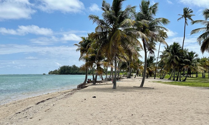 Zarzal Condo | Beachside Haven: Luxury Condo, Pool, and Golf with Views to El Yunque