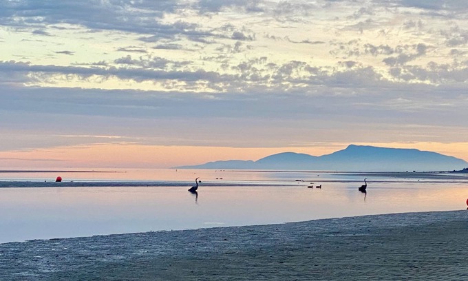 Boundary Bay House | Beachside Living. Steps from the BEACH! Pet's friendly