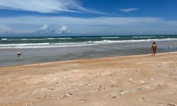 Florida House | Beachside Townhouse Flagler Beach. 1 block to beach walkover.