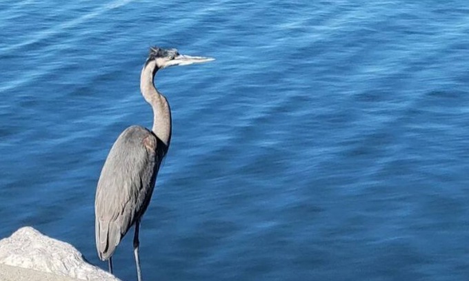 Gulfport House | Beachstay Hideaway