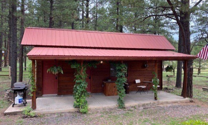 Greer Apartment | Bear Haven on Northwoods Road