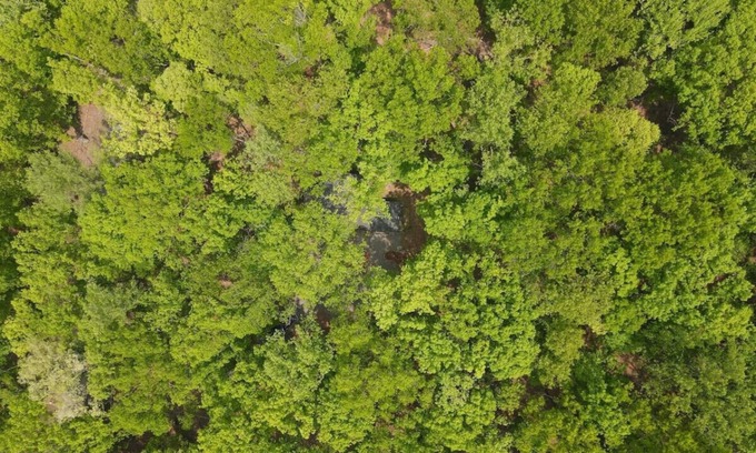 Great Cacapon Cabin | Bear Necessities -Forget your Worries!