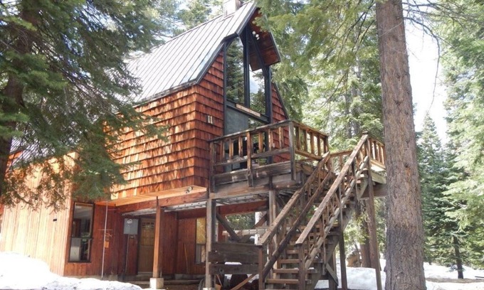 Bear Valley Cabin | Bear Valley family fun in the trees