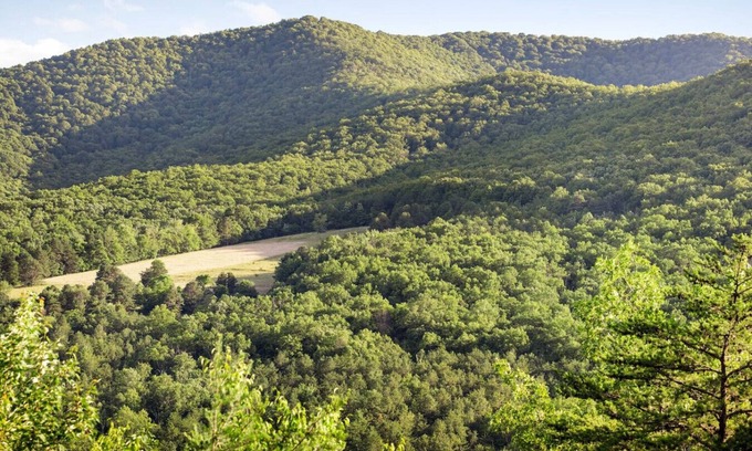 Stanley Apartment | Bearloga:Hot Tub, Sauna, Stunning Views, 75 acres