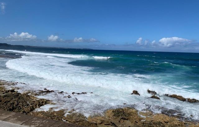 Le Moule Apartment | Beau studio proche de la mer