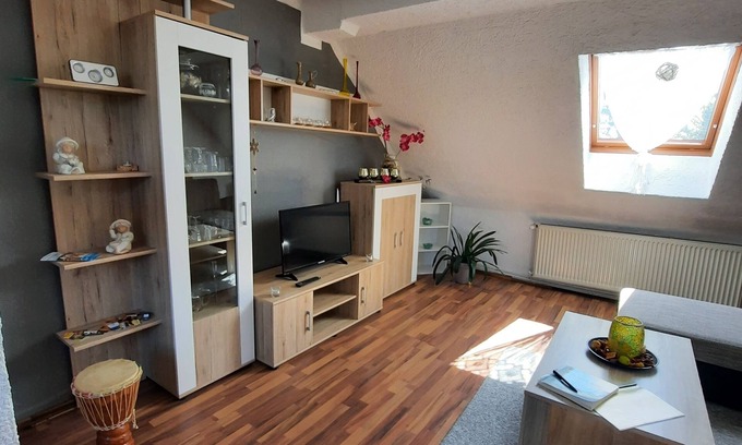 Lutherstadt Wittenberg Apartment | beautiful top floor apartment with view of the Elbe meadows