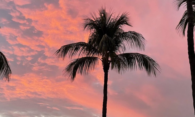 Islamorada Condo | Beautiful 1 bedroom apartment, king size bed, Summer Sea Condo