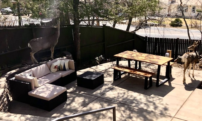 Cheyenne Canyon Cottage | Beautiful 3 BR Cottage in Cheyenne Canon-Minutes from trails, Broadmoor and zoo!