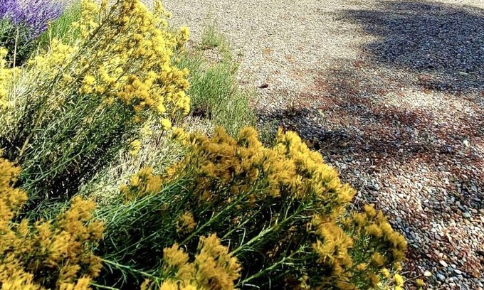 Arroyo Seco House | Beautiful Adobe Home- Walk or short drive to Arroyo Seco - 5th bedroom optional