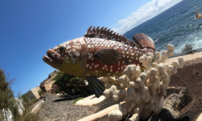 Playa de Arinaga Apartment | Beautiful apartment 7 minutes from the beach, comfortable and ideal for families