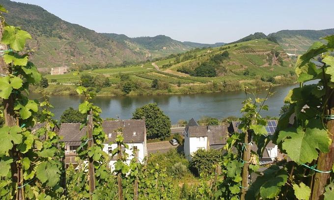 Ediger House | Beautiful apartment in villa for 4 people with WIFI, TV, pets allowed and parking