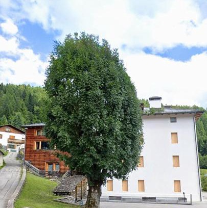 Zoldo Alto Apartment | Beautiful apartment in Zoldo Alto Dolomites