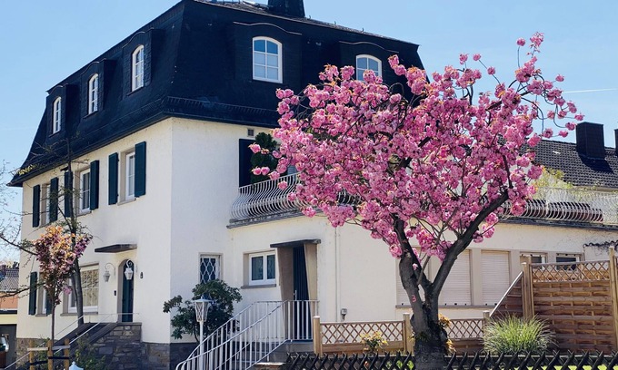Mainz-Bingen Condo | Beautiful bright vacation apartment "SunShine" centrally located in Geisenheim/Rheingau