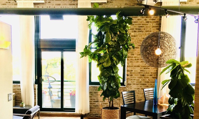 Bucktown Condo | Beautiful & Chic Loft on the River! Excellent location & has everything you need