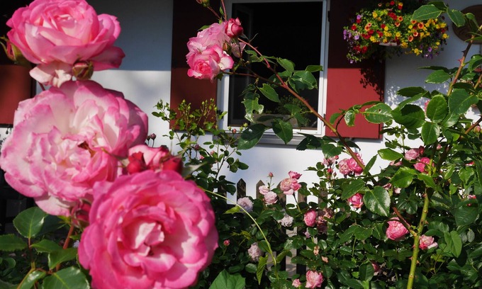 Schwabmuehlhausen House | Beautiful country house with fireplace and garden between Munich and Allgäu