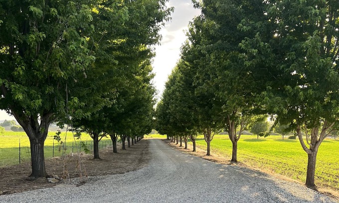 Gem County Apartment | Beautiful Country & Ranch setting with room to relax