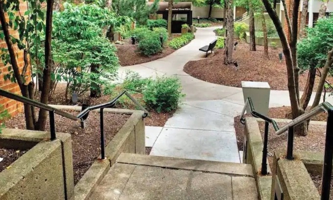 Oak Park Apartment | BEAUTIFUL COZY APARTMENT