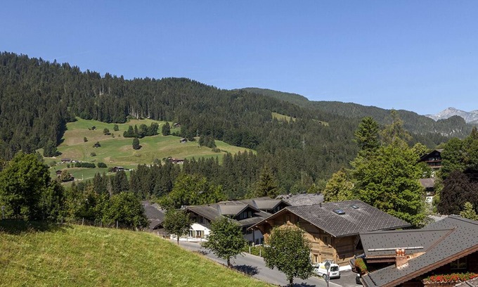 Gstaad Apartment | BEAUTIFUL COZY APARTMENT IN GSTAAD