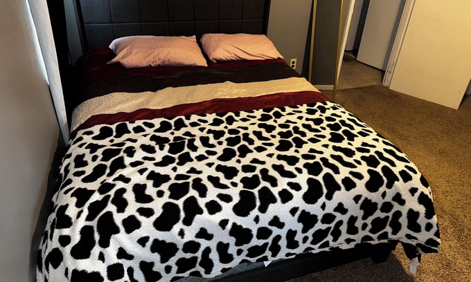 Trotwood Apartment | Beautiful cozy ensuite