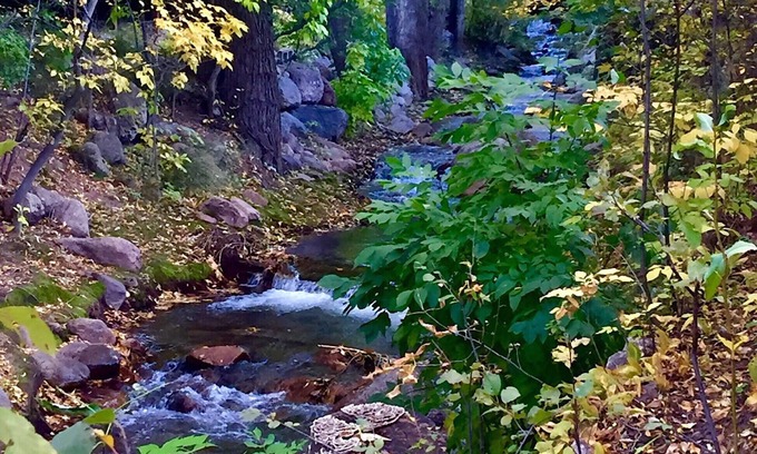 Broadmoor Cabin | Beautiful deck DIRECTLY on CREEK! * CENTRAL AIR * Walk to the Broadmoor