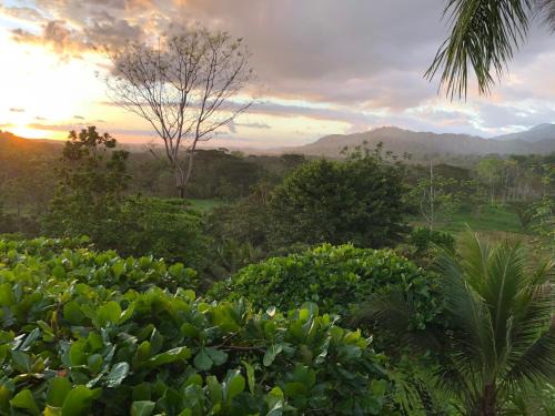 Quepos Villa | Beautiful estate in quiet surroundings close to beach