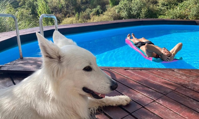 Casares Cottage | Beautiful farm cottage Private pool.Casares . Fast net. Spring offers .