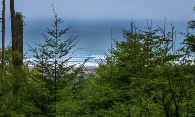 Fort Bragg Cabin | Beautiful Glamping Cabin in an old growth redwood forest with ocean views.