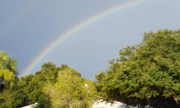 Plantation Condo | Beautiful golf course view with amazing sunsets; 15 minutes to Manasota Beach