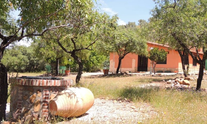 Belvis de la Jara House | Beautiful house in the middle of the field