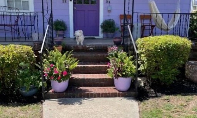Charleston House | Beautiful home away from home in downtown Charleston.
