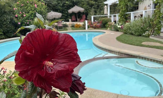 Toro Canyon House | Beautiful home on 1/2 acre lush garden - and 1 mile to the beach!