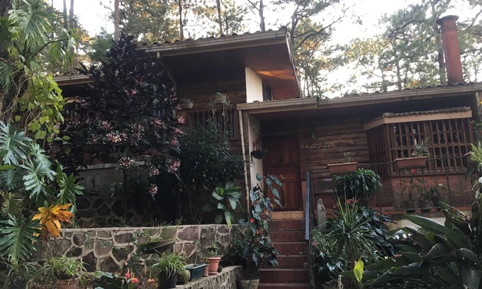 Nueva Concepcion House | Beautiful house and a nice terrace in a forest