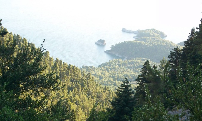 Mantoudi-Limni-Agia Anna House | beautiful house inside forrest with sea view. Paradise