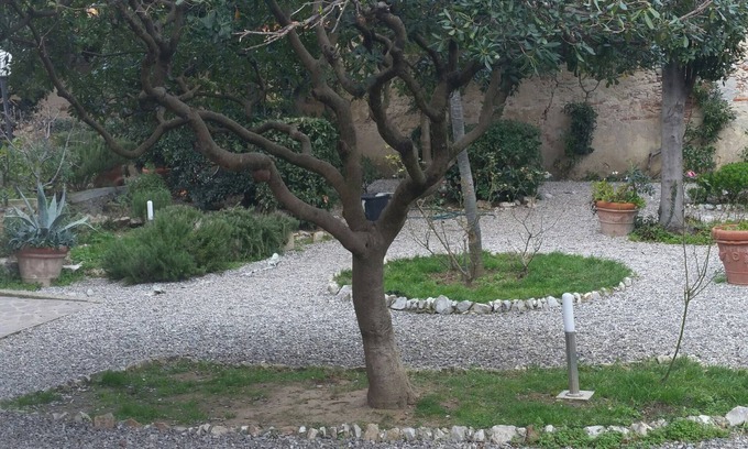 Marina di Pisa House | Beautiful house in Villa Liberty