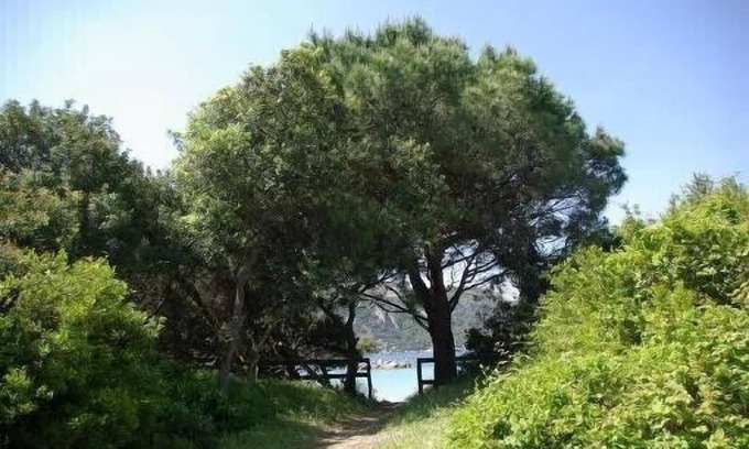 Santa Giulia House | Beautiful house with garden 50 meters from the beach