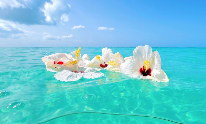 Treasure Cay Condo | Beautiful Island Getaway