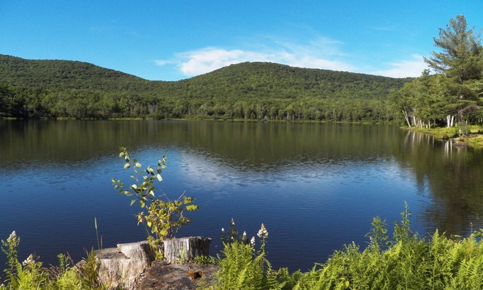 Windham House | Beautiful Lake house on private 28 acre lake