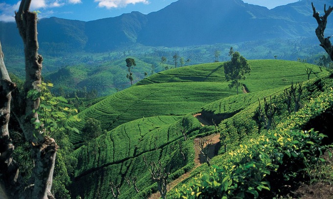 Kandy House | Beautiful location with river side view.