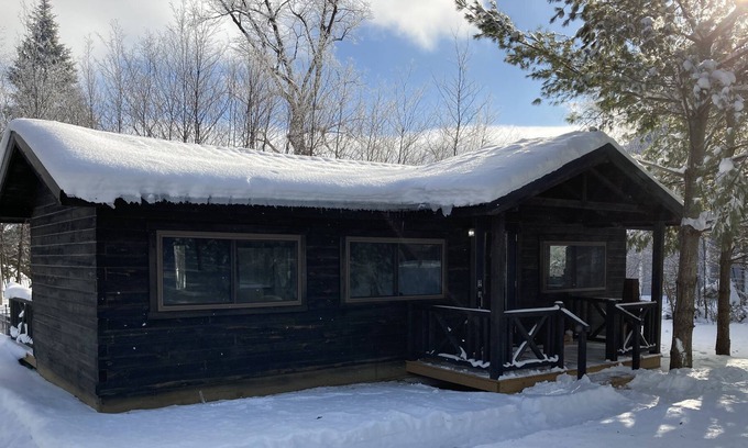 Frazee Cabin | Beautiful Log Cabin in Wooded lot on Little Toad Lake