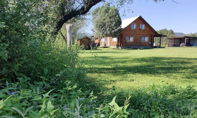 Young Cabin | Beautiful Log house with plenty of western charm & touch of modern