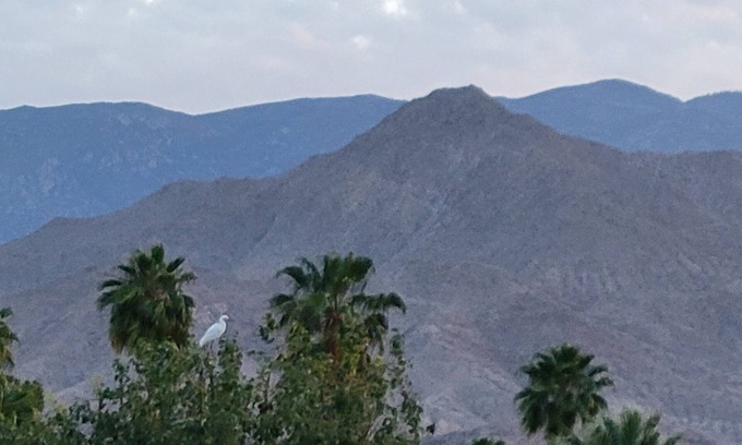 Cathedral City Condo | Beautiful Mountain Views, 2/2 Peaceful fully equipped condo w/3 pools