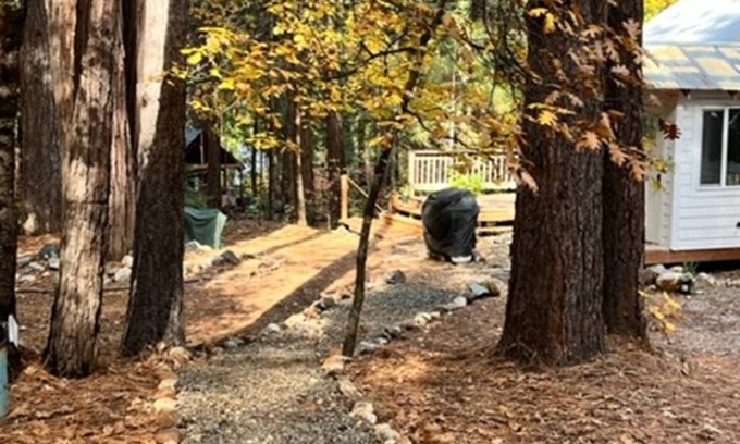 Alta Cabin | Beautiful, Peaceful Family and Pet Friendly Cabin in Woods. Sleeps 10.