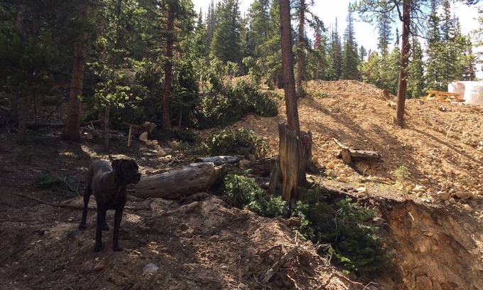 Alma House | Beautiful private land. RV with Water & Electricity.