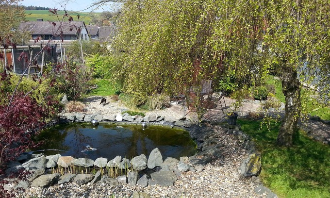 Frankenberg House | beautiful property with 2 cottages, sauna, forest edge, quiet location