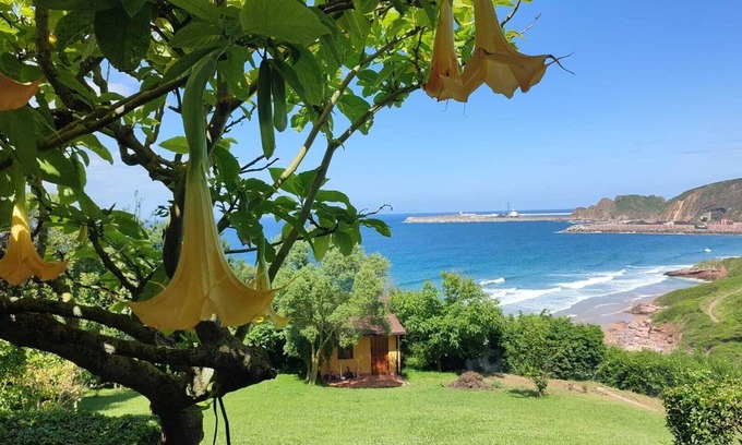 Albandi House | Beautiful seaside villa. Peace&wilderness just stone's throw from Gijón Asturias