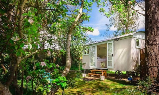 Netheravon Cabin | Beautiful Shepherds Hut B&B nr Stonehenge, Avebury, Salisbury, Bath - WiFi, TV