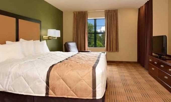 Temple Terrace Apartment | Beautiful Studio apartment (425985) by Houzlet