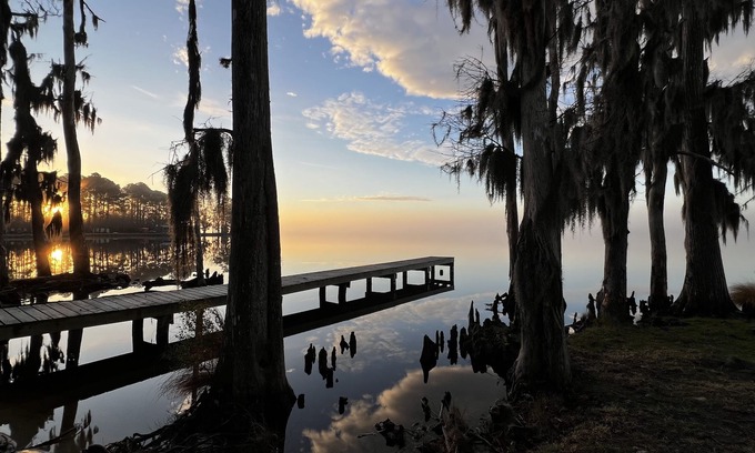 Columbia House | Beautiful sunsets, Cypress trees and Spanish moss retreat