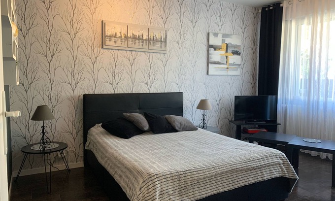 Thonon-les-Bains Apartment | beautiful T1 30 m2, gated, near downtown, private parking. Wireless