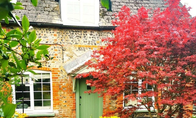 Shrewton Cottage | Beautiful, traditional rural cottage